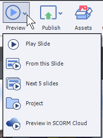 Adobe Captivate Preview Menu